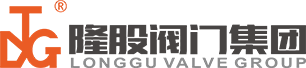 隆股阀门集团有限公司